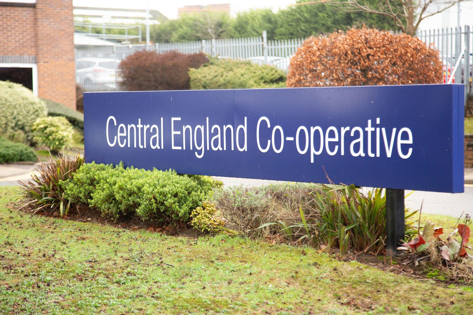Help us win Leading Co-operative of the Year 2019