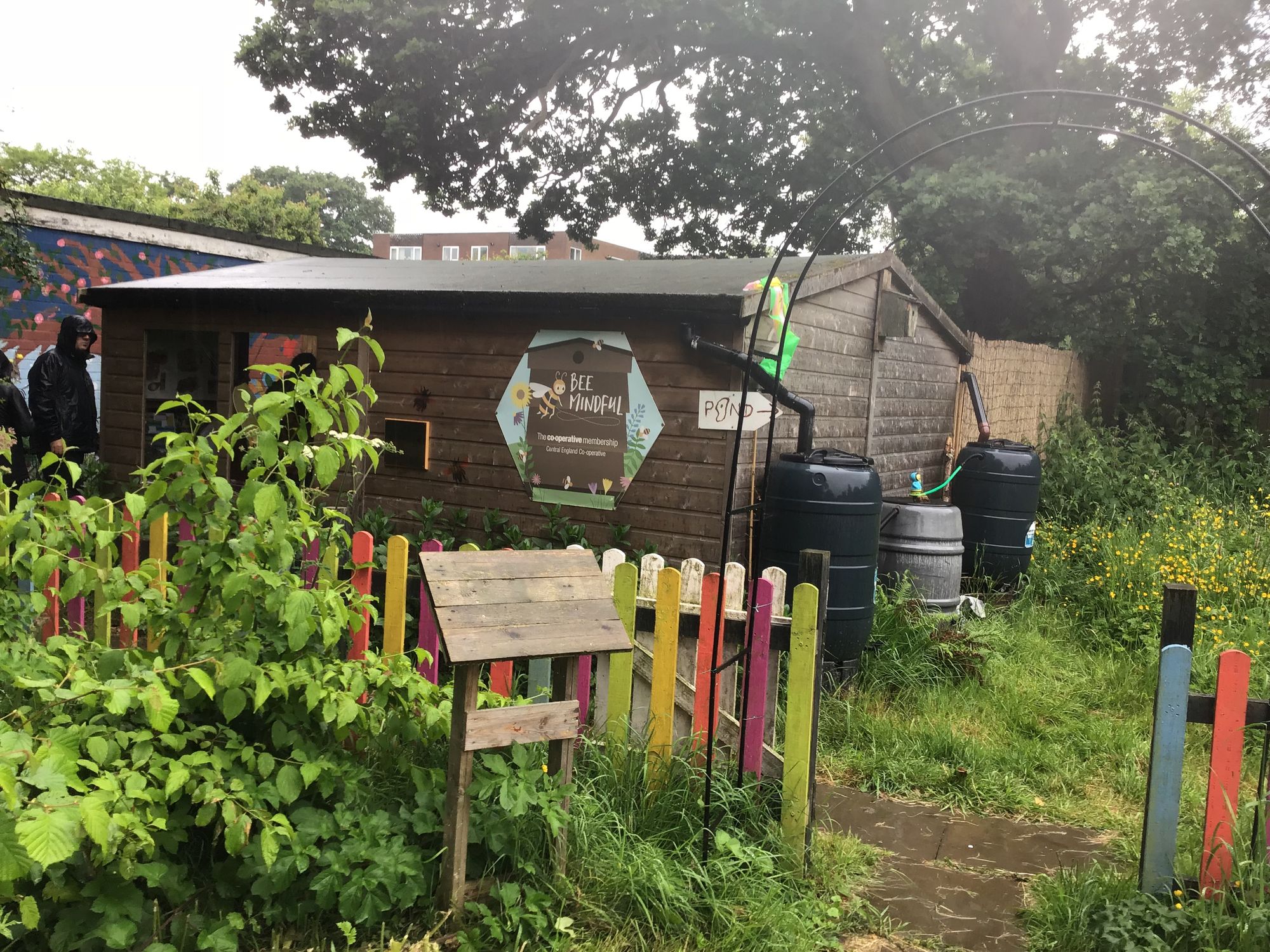 School Children ‘Buzzing’ about Bees