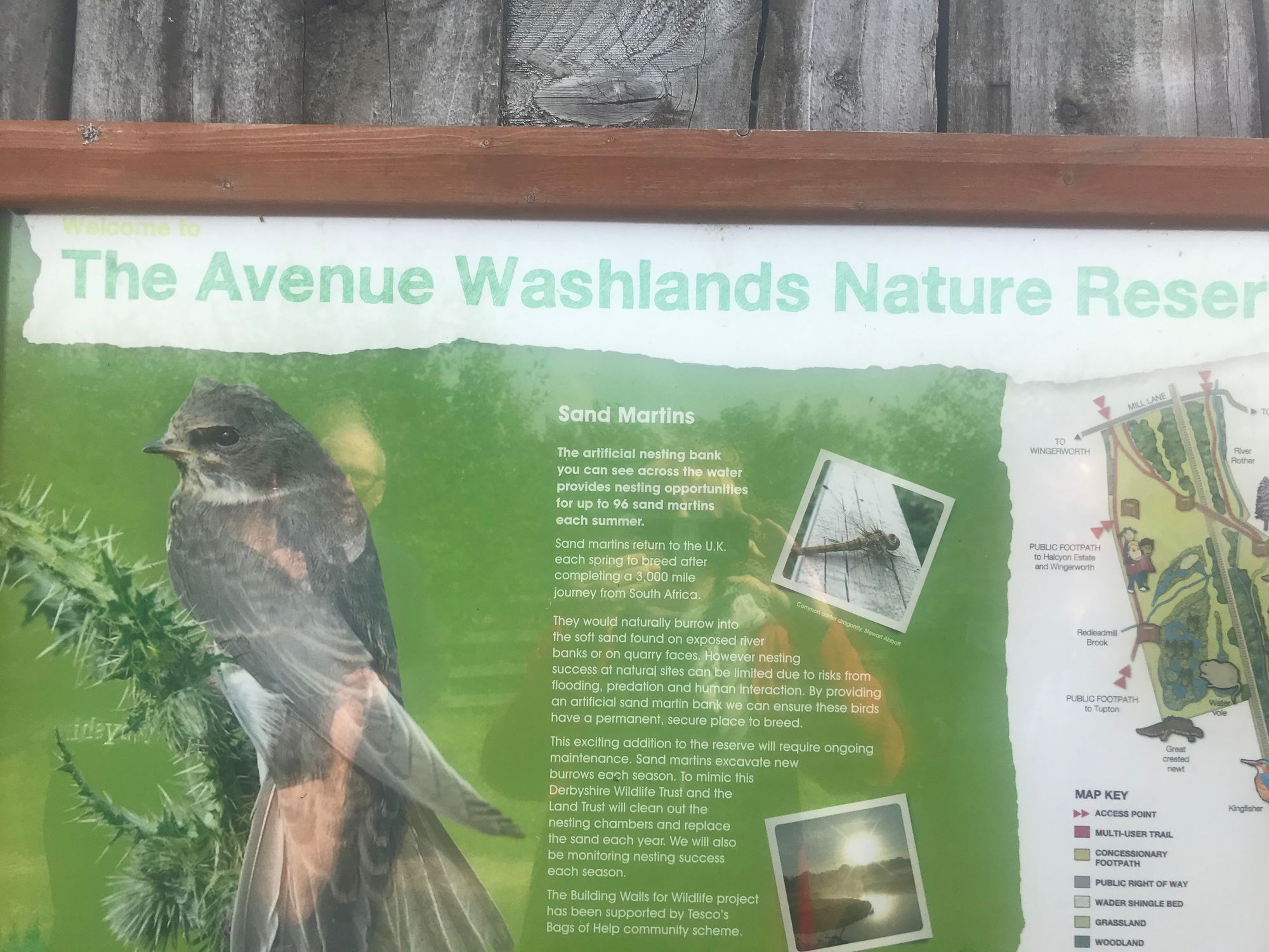 JOIN US - Family Fun Day 30th July - The Avenue Washlands Nature Reserve, Chesterfield