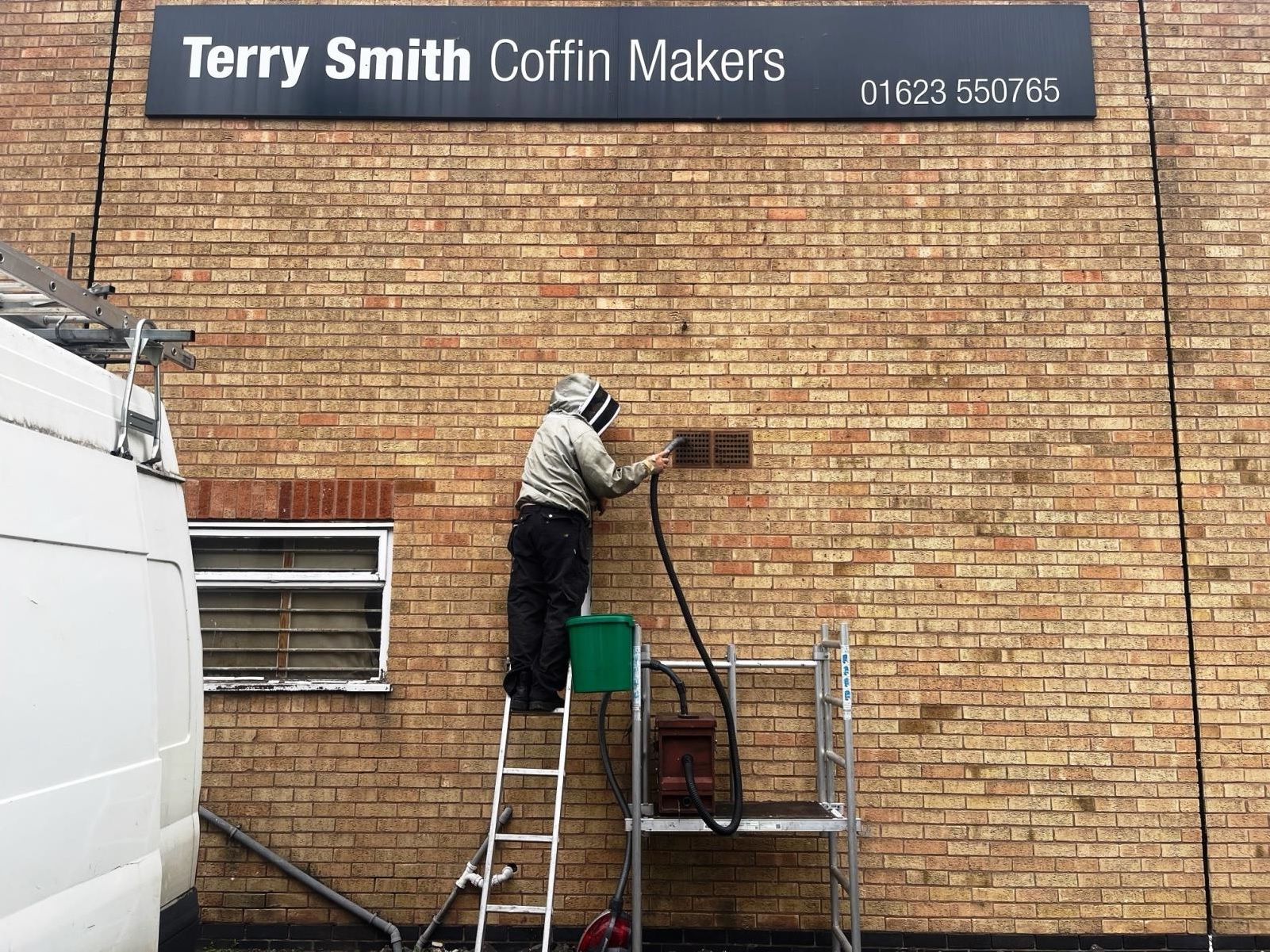 Coffin factory staff buzzing after bee colony rehomed to provide honey and wax for local people