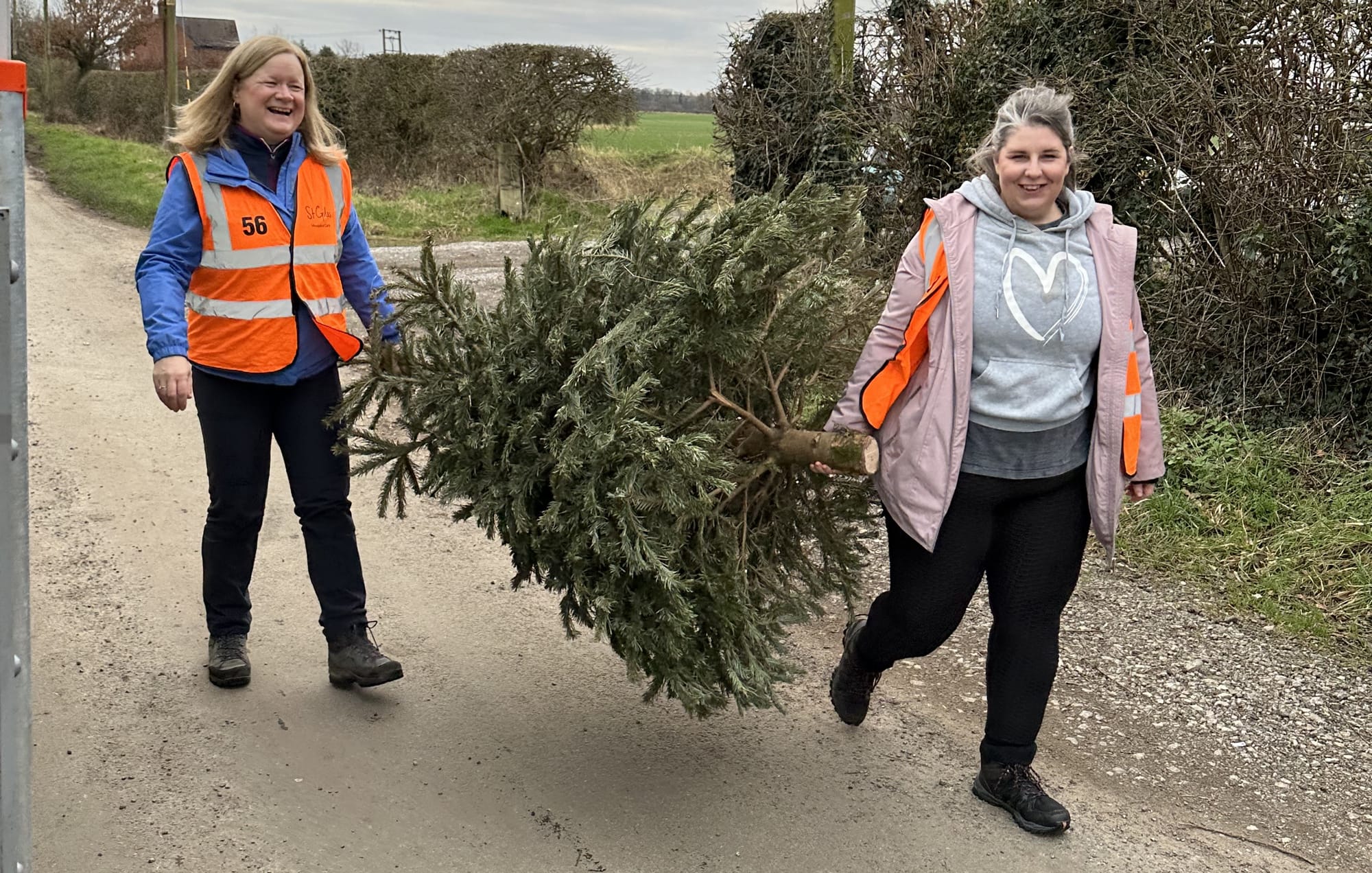 Colleagues support St Giles Hospice at their annual Tree Collecting event
