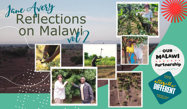 Reflections on Malawi: Vol 2