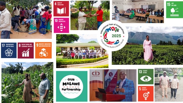 Our Malawi Partnership